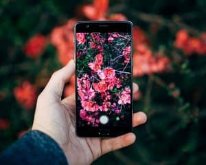 Aplikasi Filter Foto Terbaik untuk Android yang Harus Anda Unduh