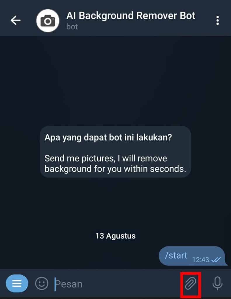 Image 4 Cara Menghapus Latar Belakang dari Foto dengan Telegram