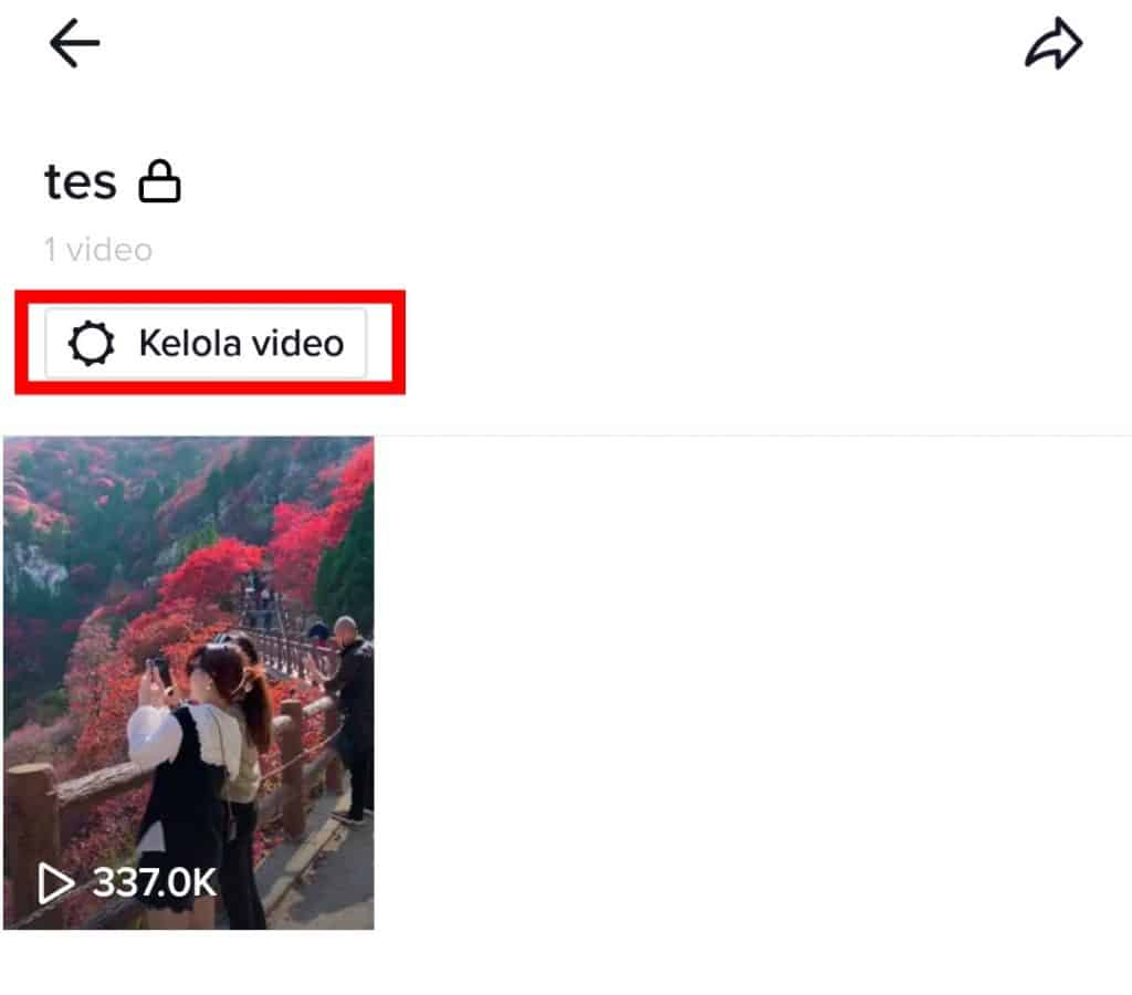 Image 4 Cara Menemukan dan Mengelola Favorit Anda di TikTok