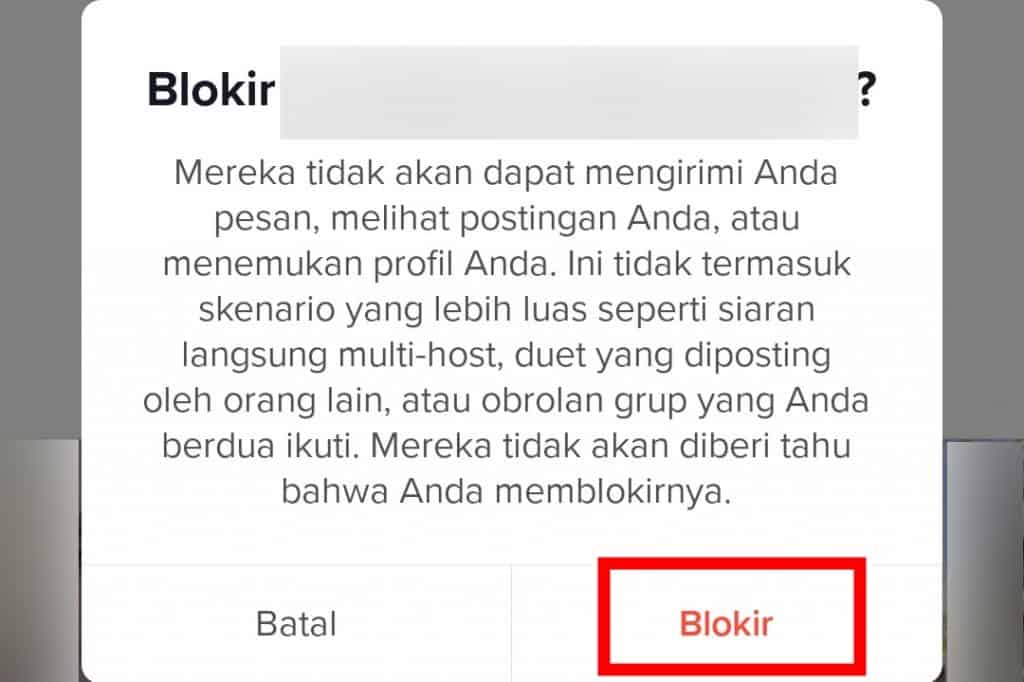 Image 3 Cara Memblokir dan Membuka Blokir Pengguna di TikTok