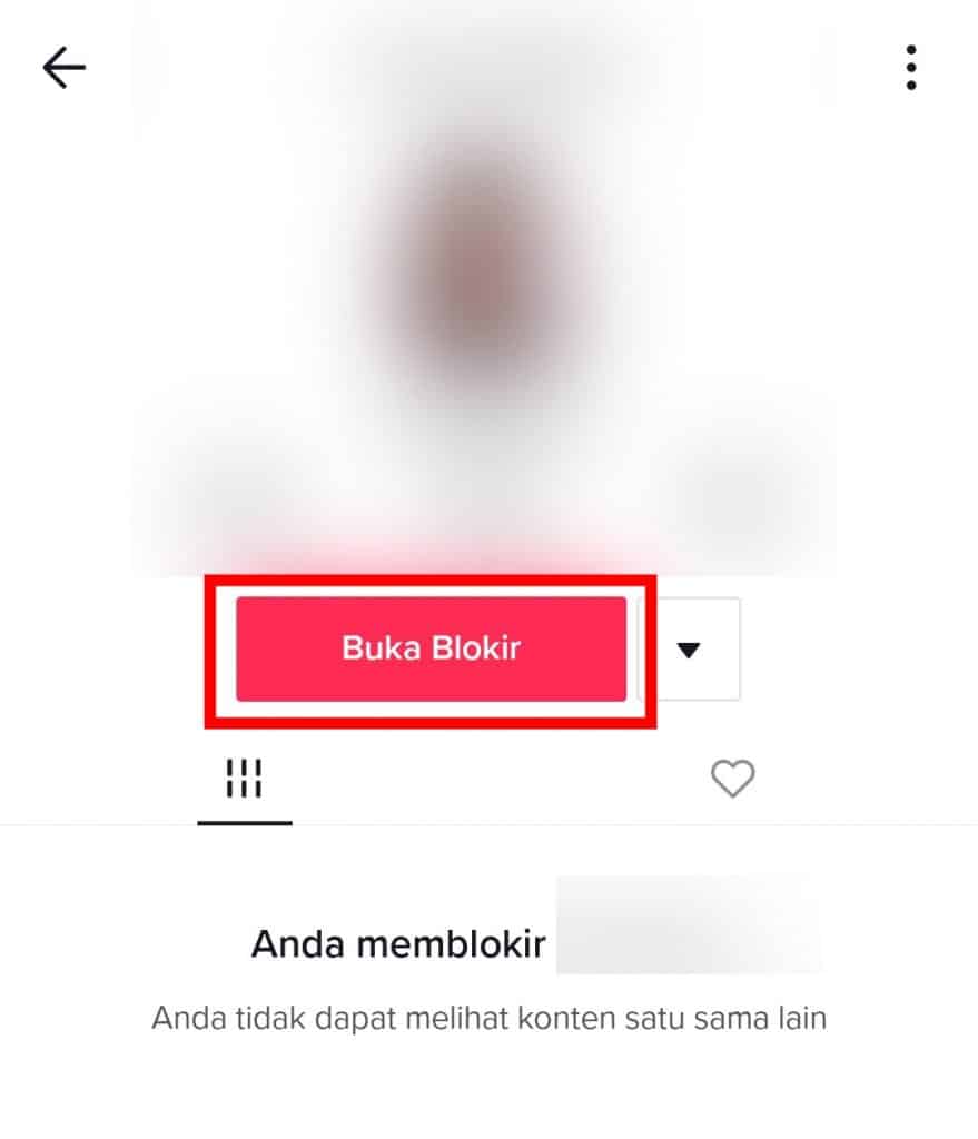 Image 6 Cara Memblokir dan Membuka Blokir Pengguna di TikTok