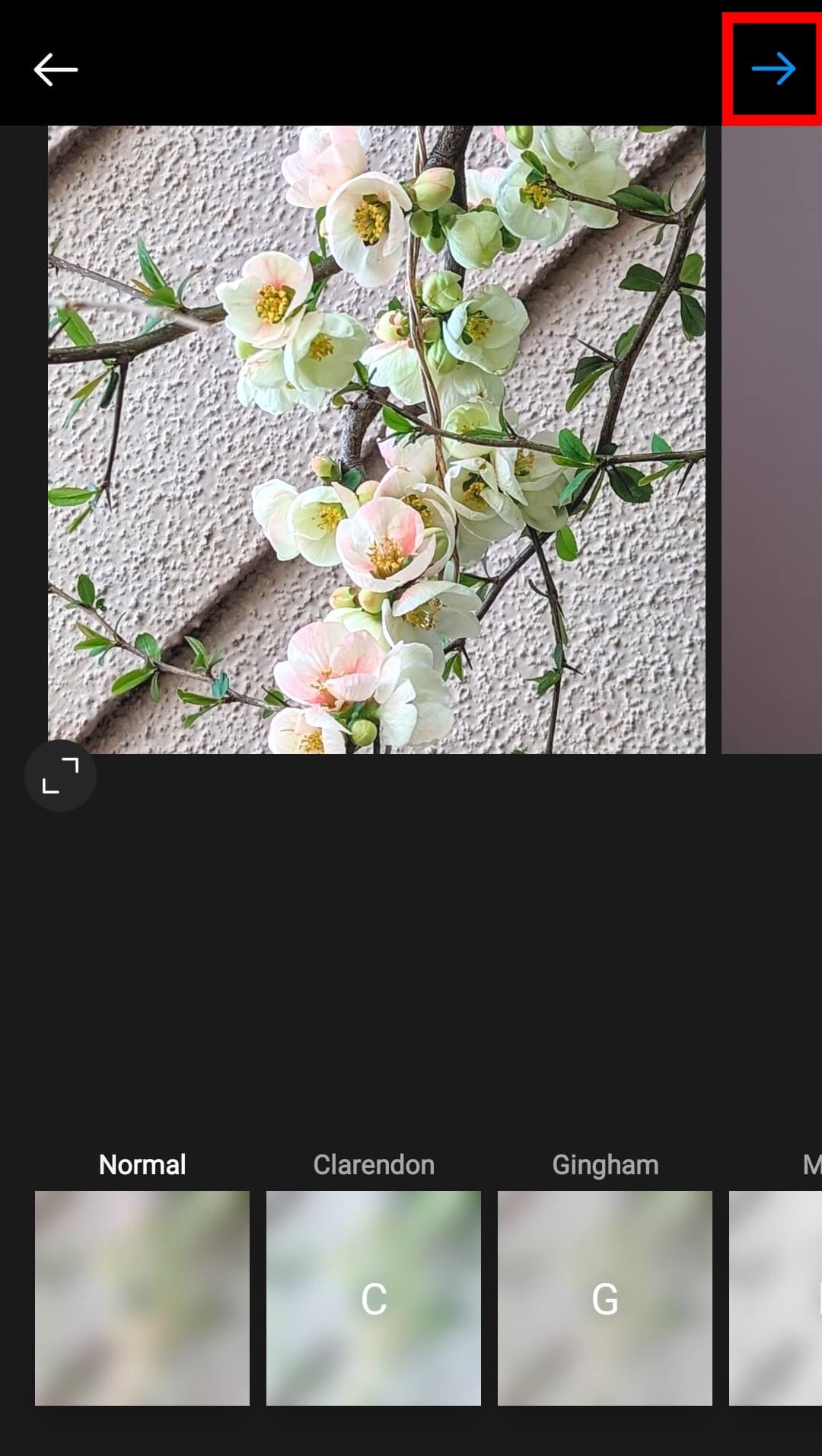 Image 3 Cara Membuat Postingan Carousel Instagram di Android