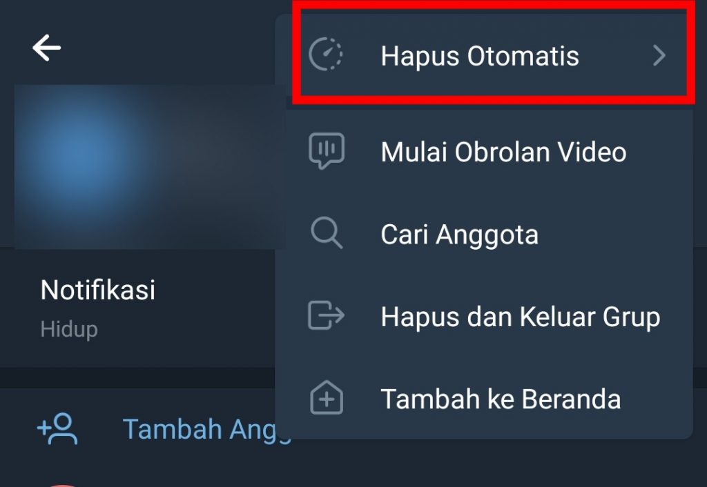 Image 2 Cara Mematikan Tangkapan Layar di Channel atau Grup Telegram