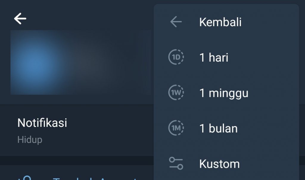 Image 3 Cara Mematikan Tangkapan Layar di Channel atau Grup Telegram