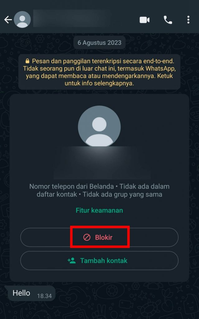 Image 2 Cara Memblokir dan Melaporkan Pesan Spam di WhatsApp