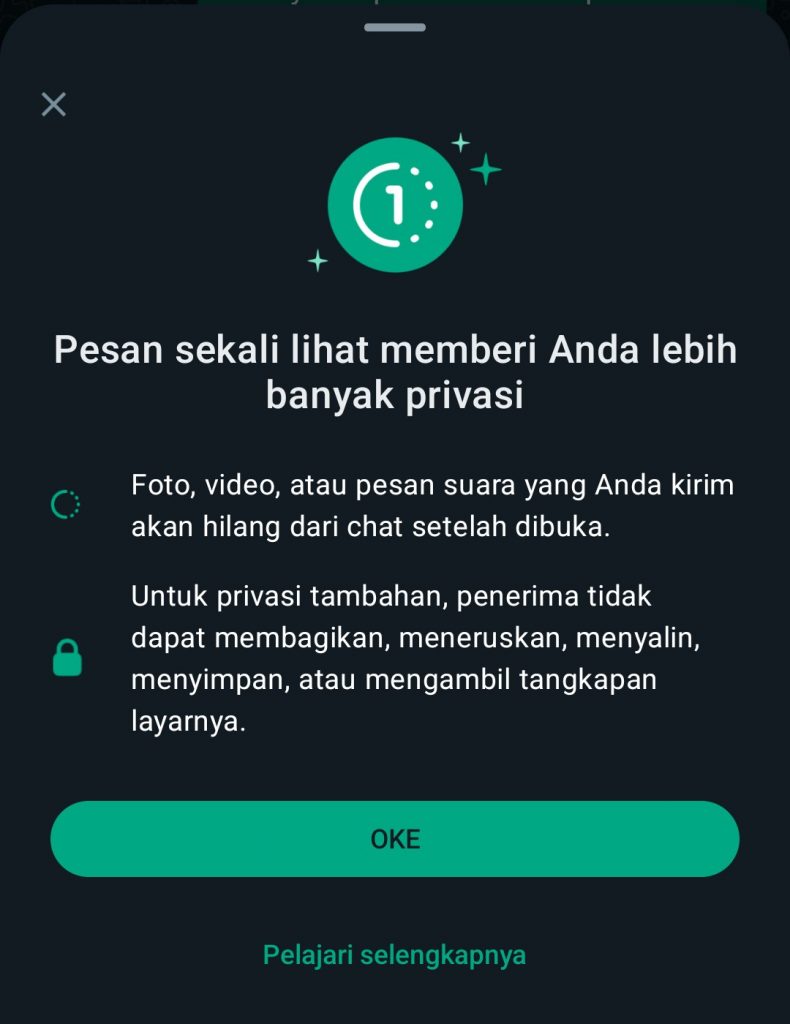 Image 4 Cara Mengirim Pesan Suara Menghilang di WhatsApp