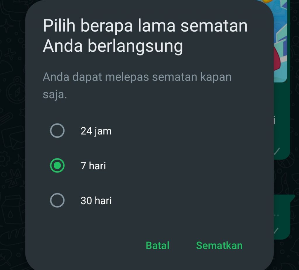 Image 3 Cara Menyematkan Pesan di WhatsApp