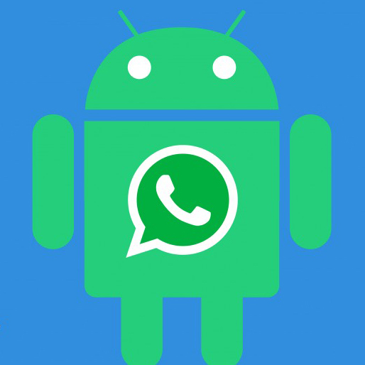 Comment effacer les données WhatsApp pour libérer de l’espace sur Android