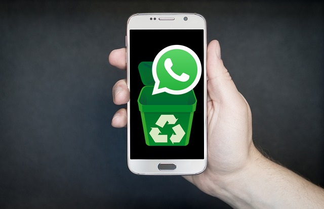 Comment transférer d’anciens chats WhatsApp sur votre nouvel Android