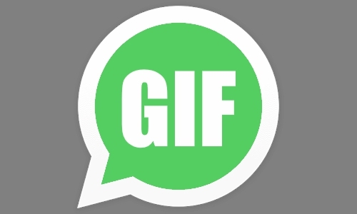 Comment convertir vos vidéos en GIF avec WhatsApp