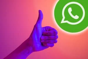 Comment activer le flash pour les notifications WhatsApp sur Android