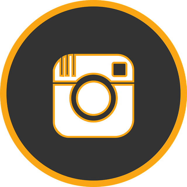 Le migliori app per Instagram che miglioreranno il vostro profilo: Layout, Pic Stitch…
