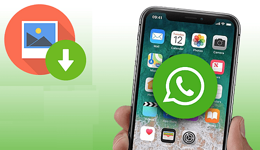 Come memorizzare le foto da WhatsApp alla Galleria in un dispositivo Android