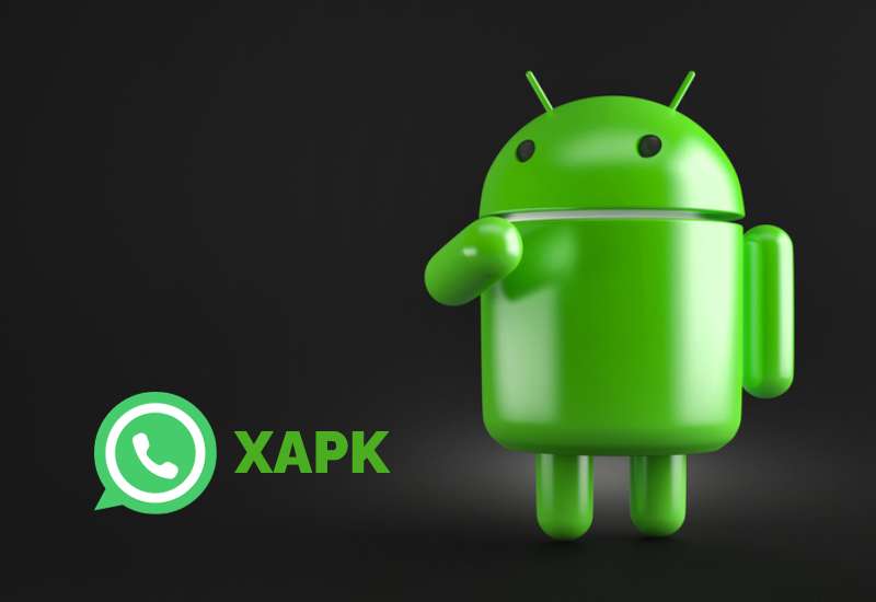 Cos’è il file XAPK e come installarlo su Android
