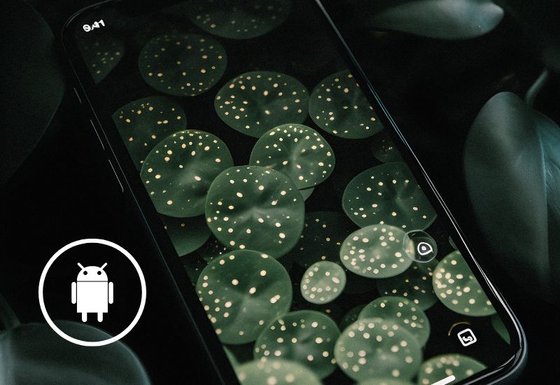 Le migliori app per sfondi 4K e QHD per Android per rendere unico il tuo telefono