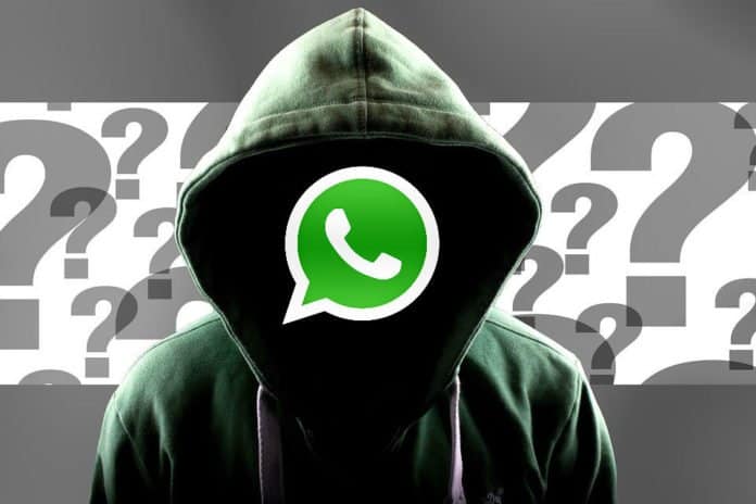 Wie du erfährst, dass Jemand bei WhatsApp online ist