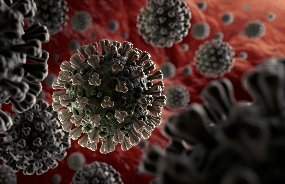 Alles was du über das Corona Virus wissen musst