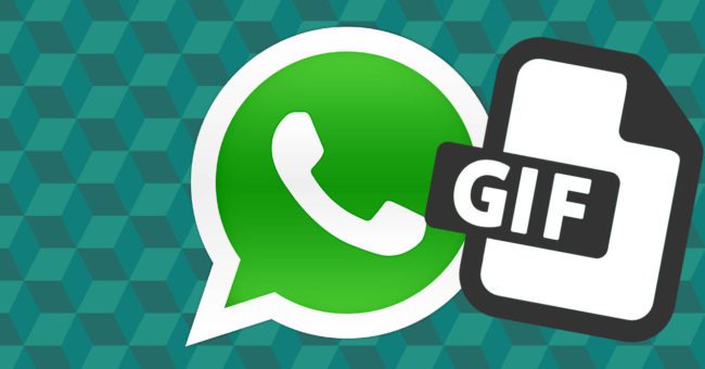 WhatsApp Android Kullanıcıları İçin GIF Paylaşma Özelliğini Getirdiğini Duyurdu!