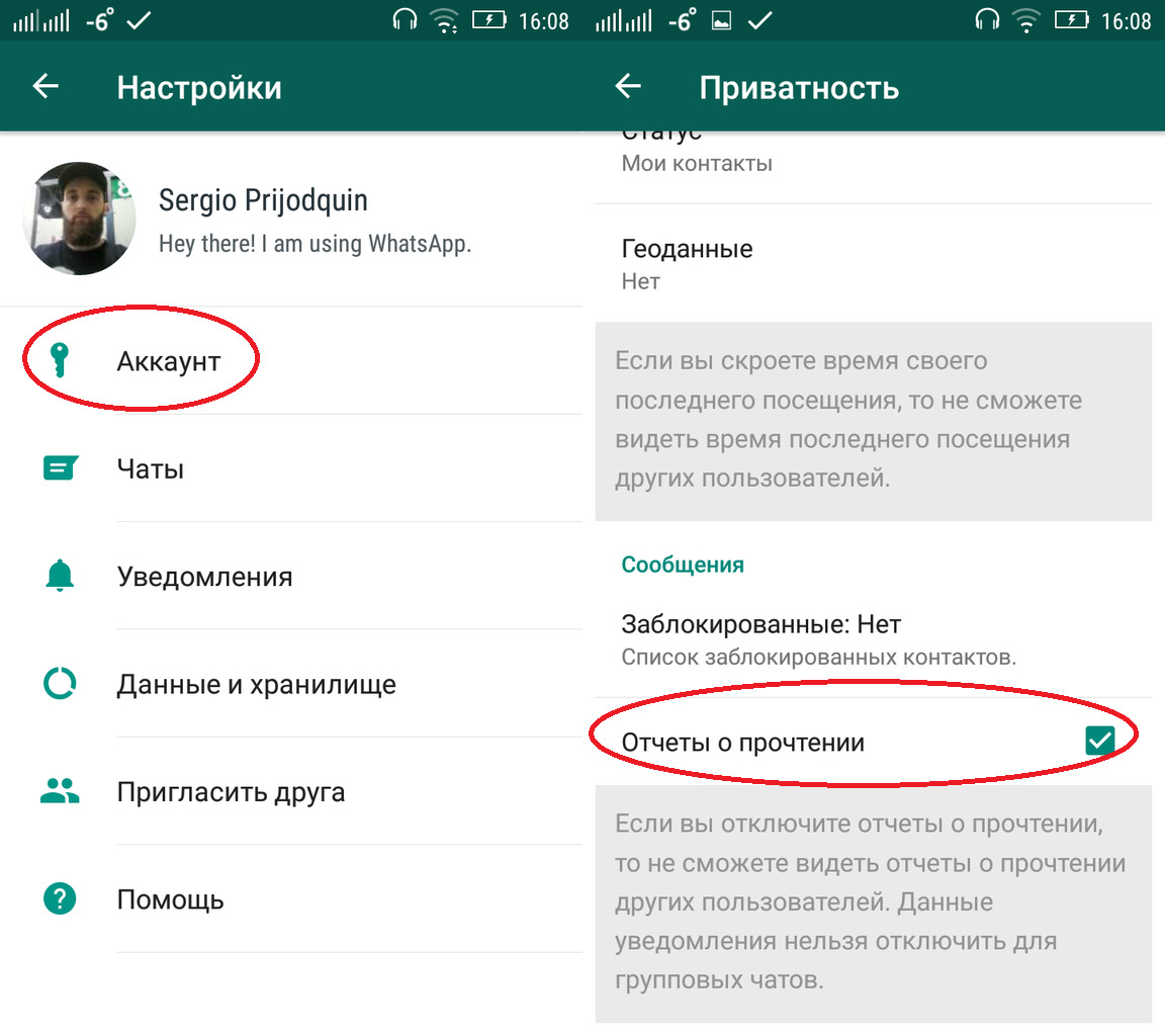 Почитать ватсап. Отчёты о прочтении в WHATSAPP. Отчёт о прочтении в ватсапе что это. Как на ватсапе убрать галочки прочитано. Убрать в ватсапе галочки о прочтении.