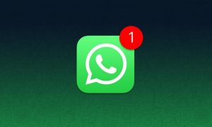 Как настроить уведомления в WhatsApp на Android