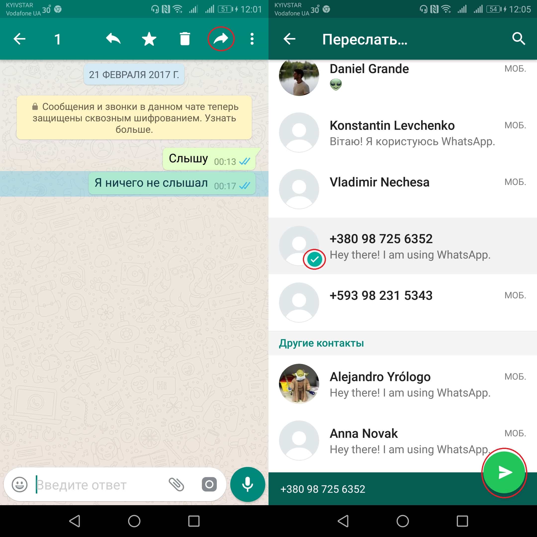 Другой whatsapp. Сообщение в ватсапе. Сообщение WHATSAPP. Пересланные сообщения в ватсапе. Как переслать в ватсапе.