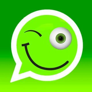 WhatsApp-статусы и всё, что о них нужно знать