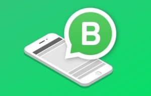 Как перенести аккаунт из WhatsApp Messenger в WhatsApp Business